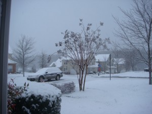 The view from my front door