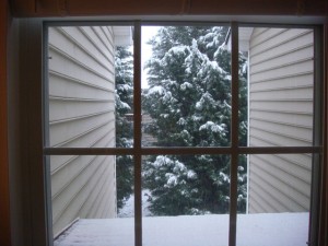 The view from my window