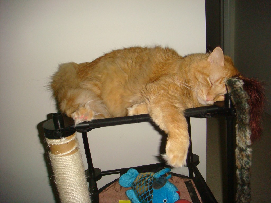 Tig, with something growing out of his head