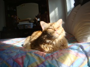 Tig loves the sun