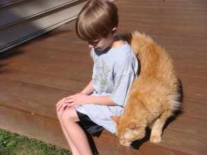 A boy and my cat